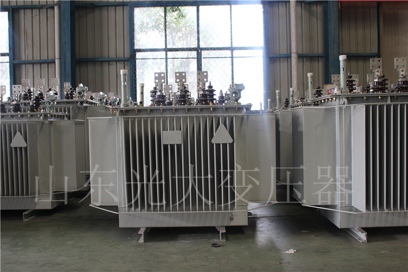 镇康S20-500KVA/10KV